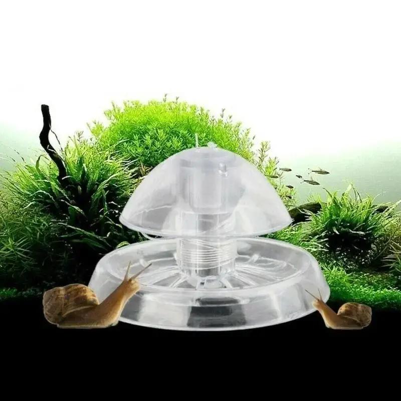 Ocean Aquarium - 2026년형 새로운 6/8CM 투명 플라스틱 달팽이