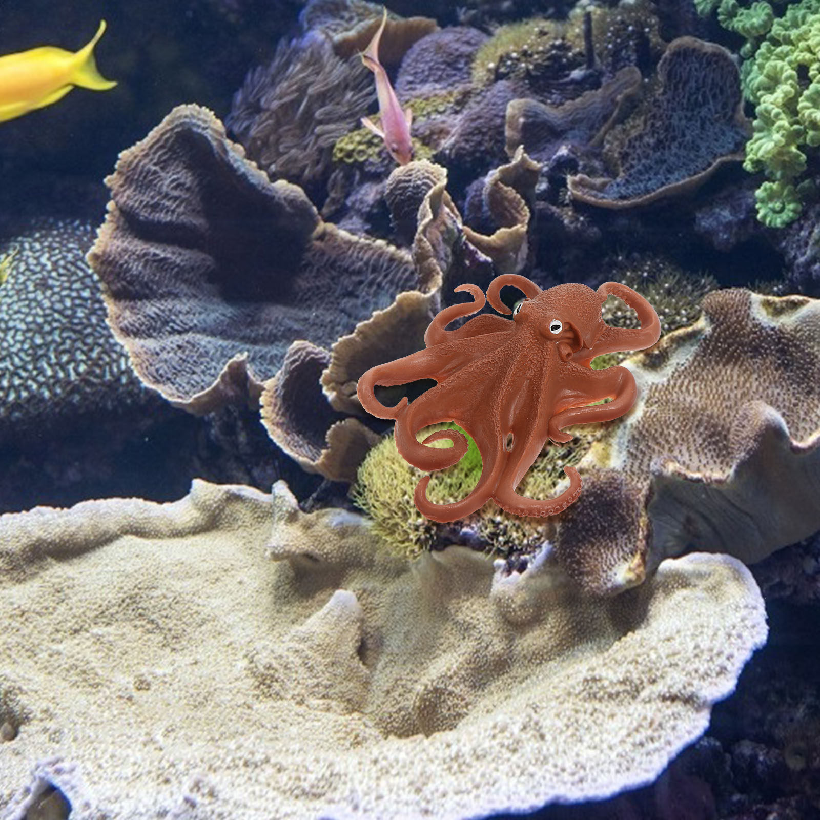 1개입 문어 PVC 해양 동물 모형 장식, 밝은 색상, - Ocean Aquarium 리뷰 및 가격