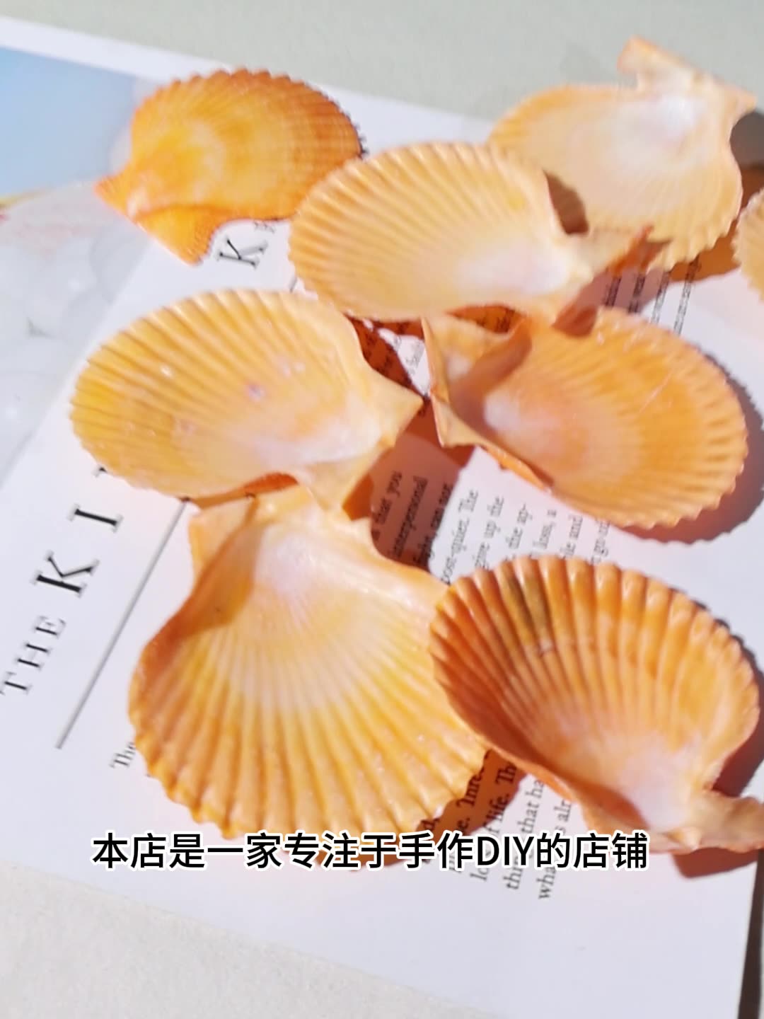 최고의 노란색 가리비 껍질 물고기 탱크 풍경 diy 손 - Marine Fish Tank 리뷰 및 가격