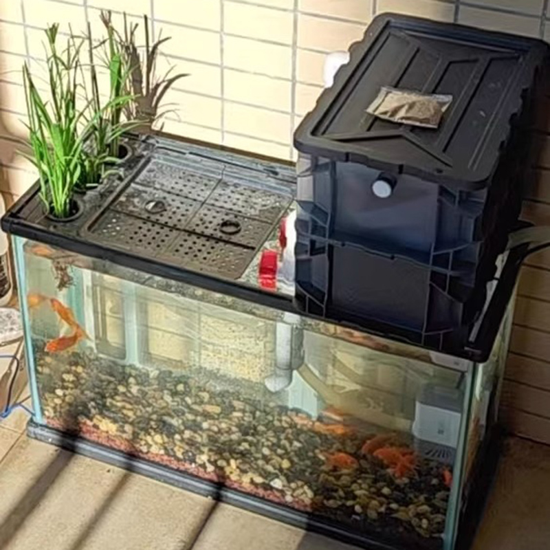 어항 필터 수족관 턴오버 박스 가정용 연못 무소음 필터 - Reef Tank Filter 리뷰 및 가격