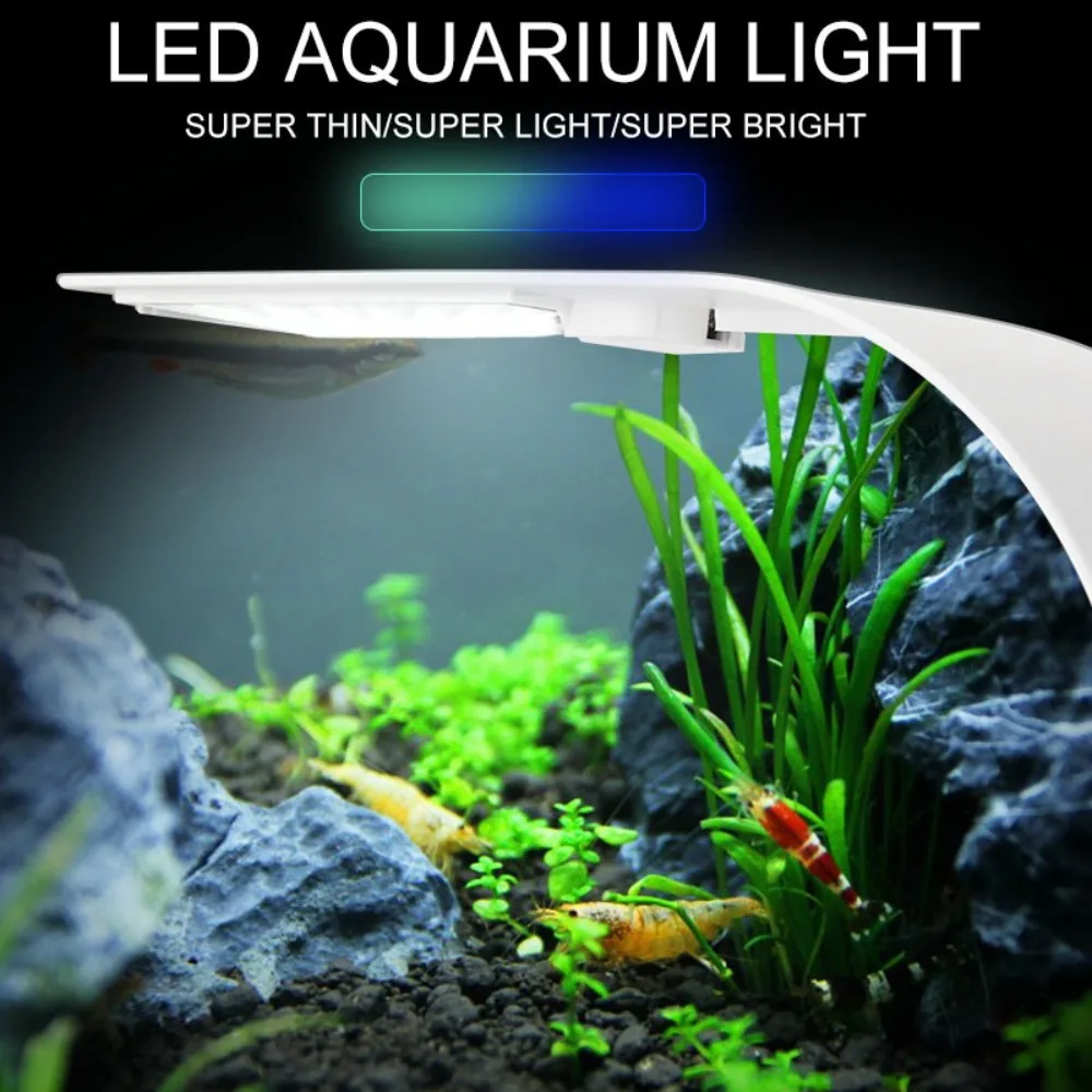 5W 미니 LED 수족관 빛, 초박형 방수 물고기 탱크 - Reef Lighting 리뷰 및 가격