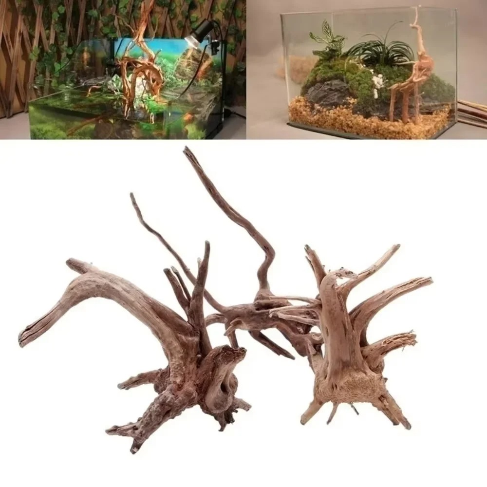 15-20CM 천연 유목 수족관 장식 - 프리미엄 나무 - Marine Fish Tank 리뷰 및 가격